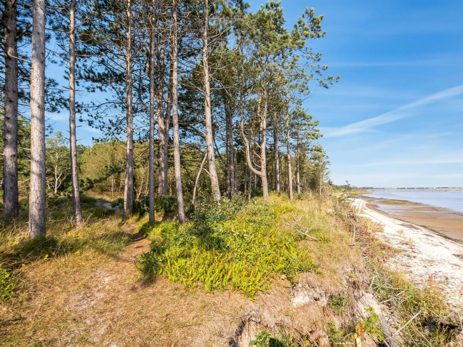 "Amai" - 100m from the sea