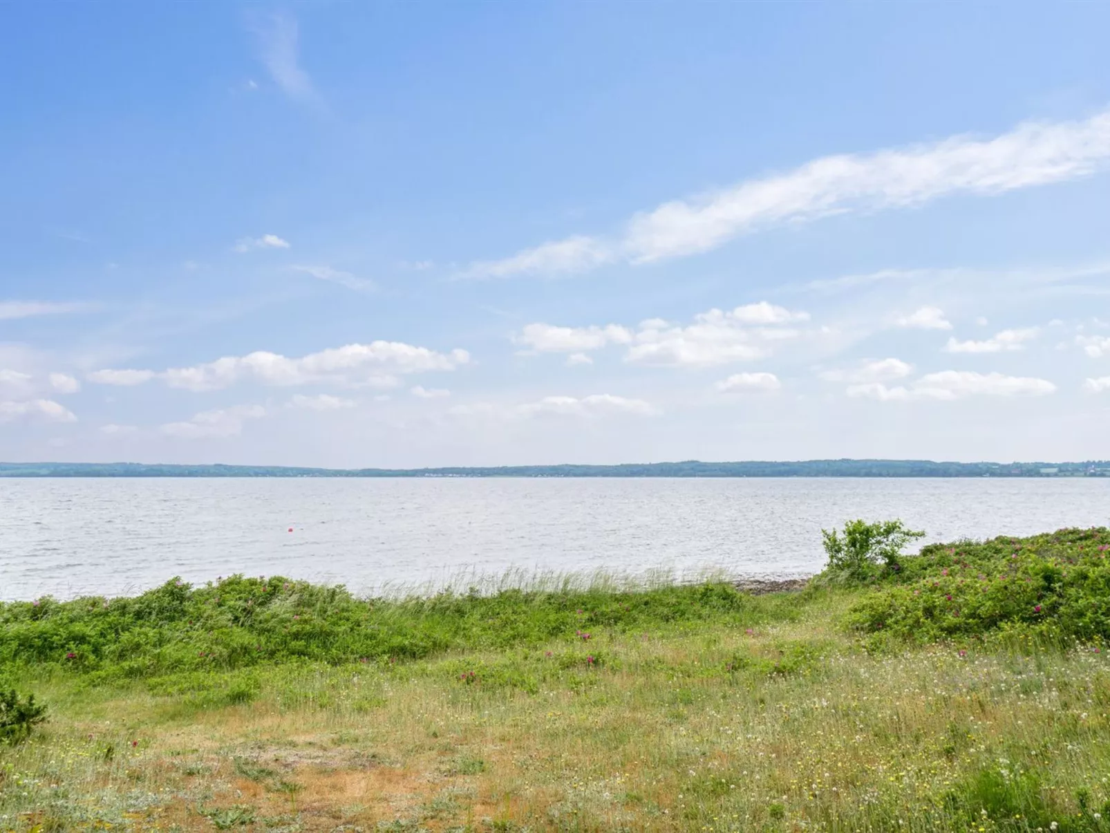 "Benni" - 120m to the fjord