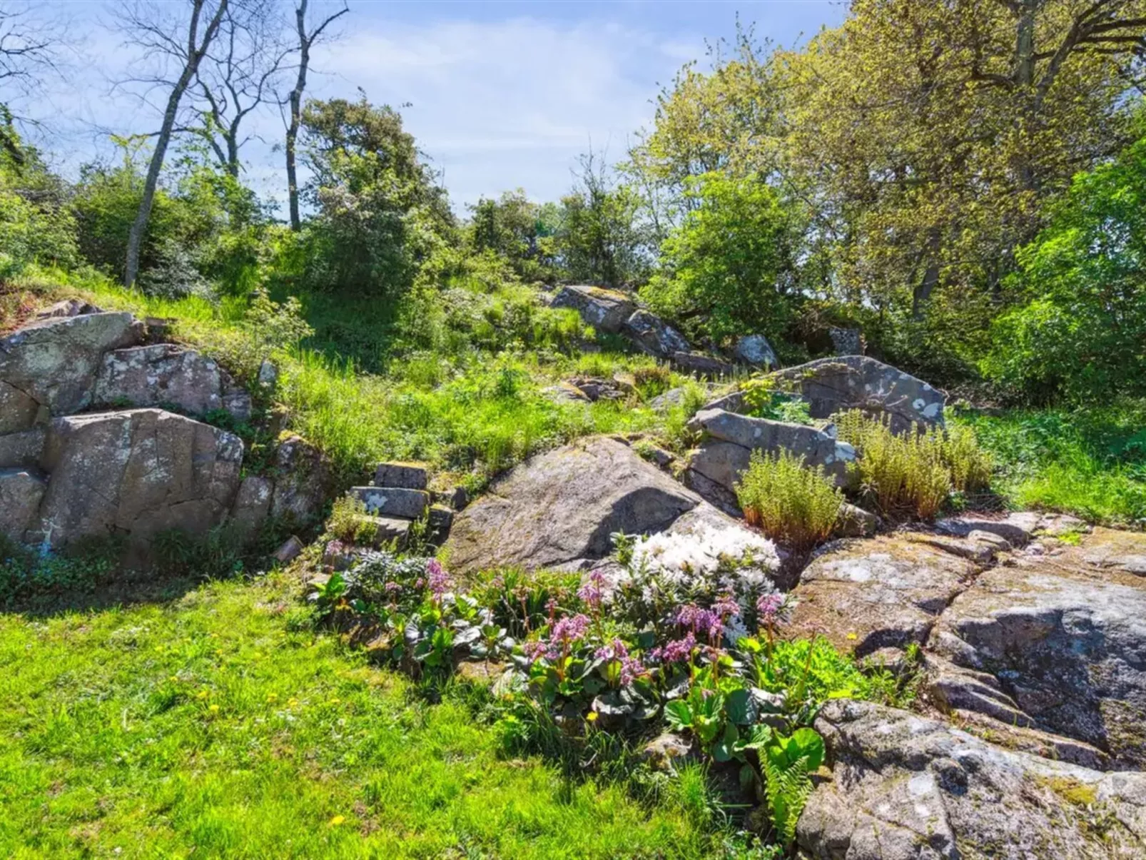 "Henric" - 75m from the sea