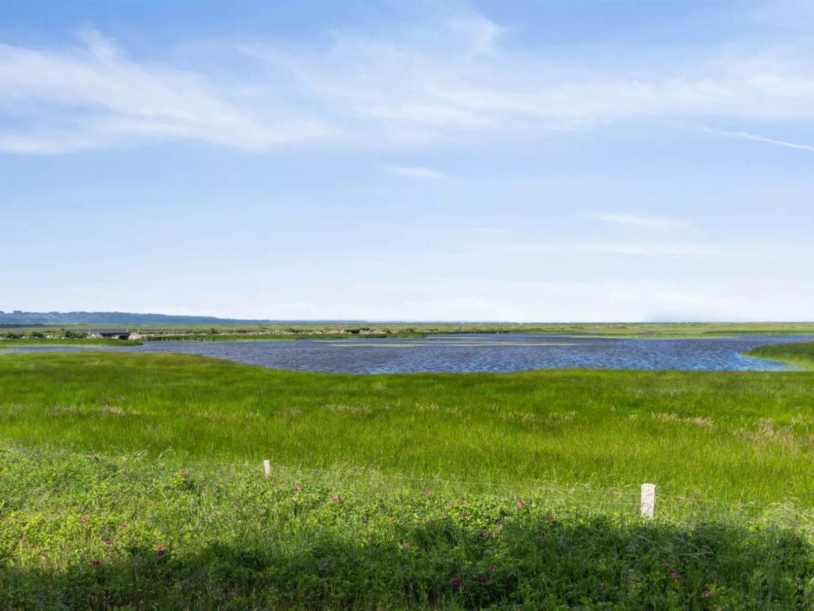 "Felis" - 575m from the sea