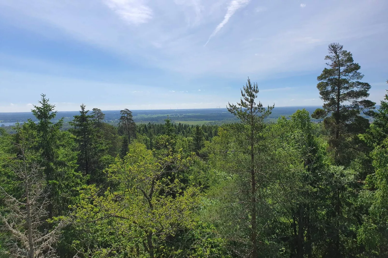 4 persoons vakantie huis in DALS ROSTOCK-Niet-getagd