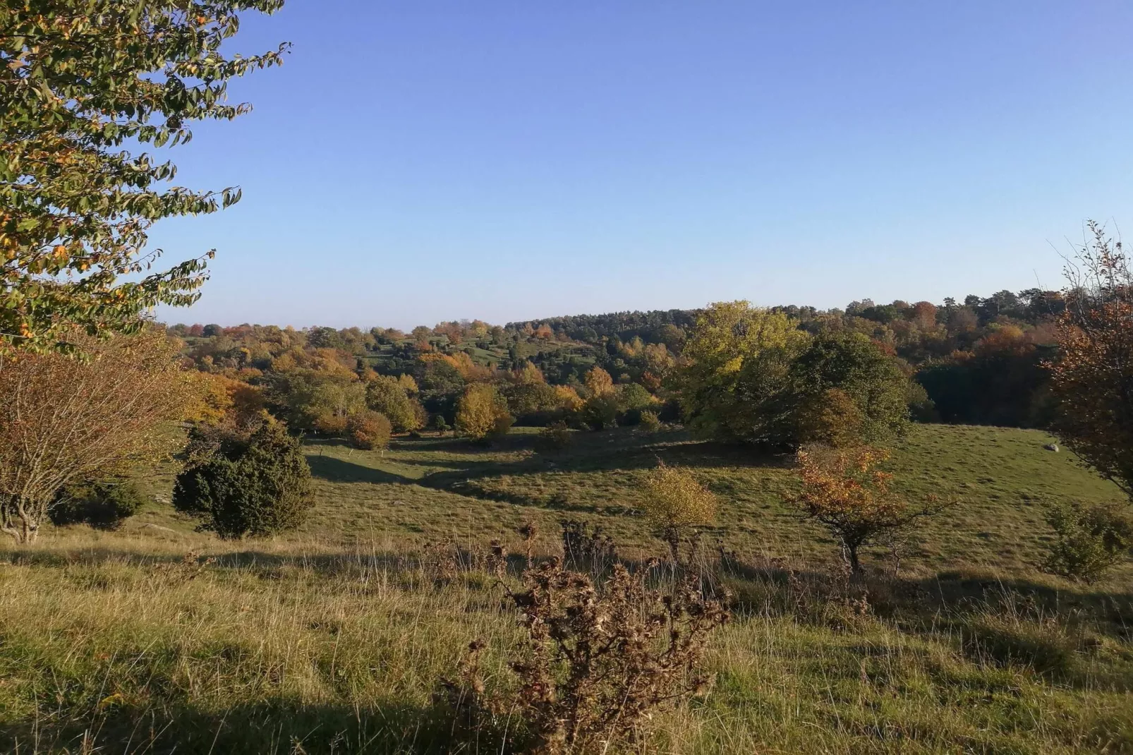 4 sterren vakantie huis in Gärsnäs-Niet-getagd