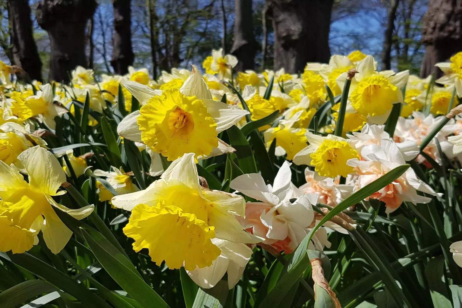 Sfeervolle retraite op Eno -- By Traum Ferienwohnungen