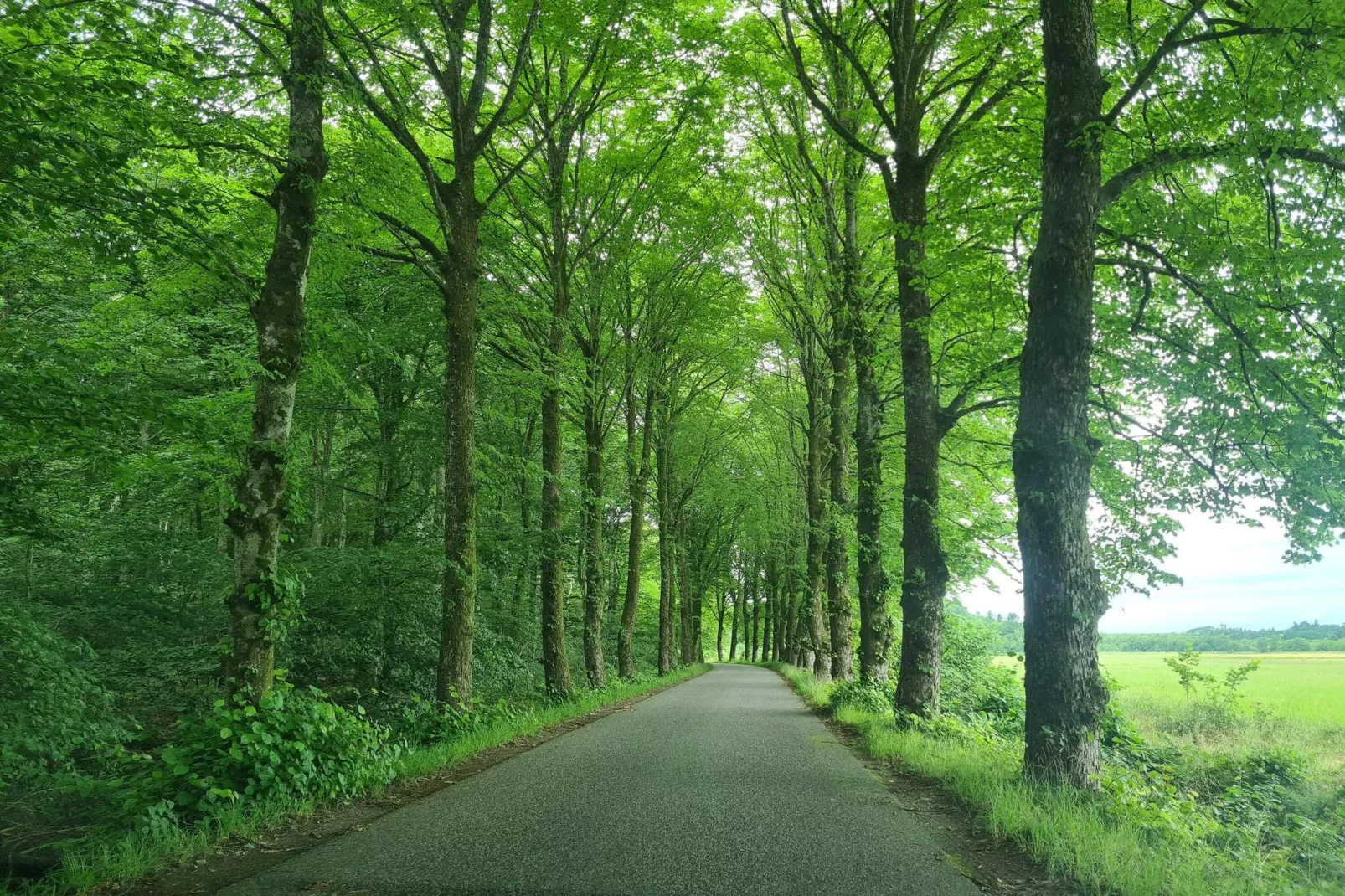 Panoramisch fjordverblijf met spabad-Niet-getagd
