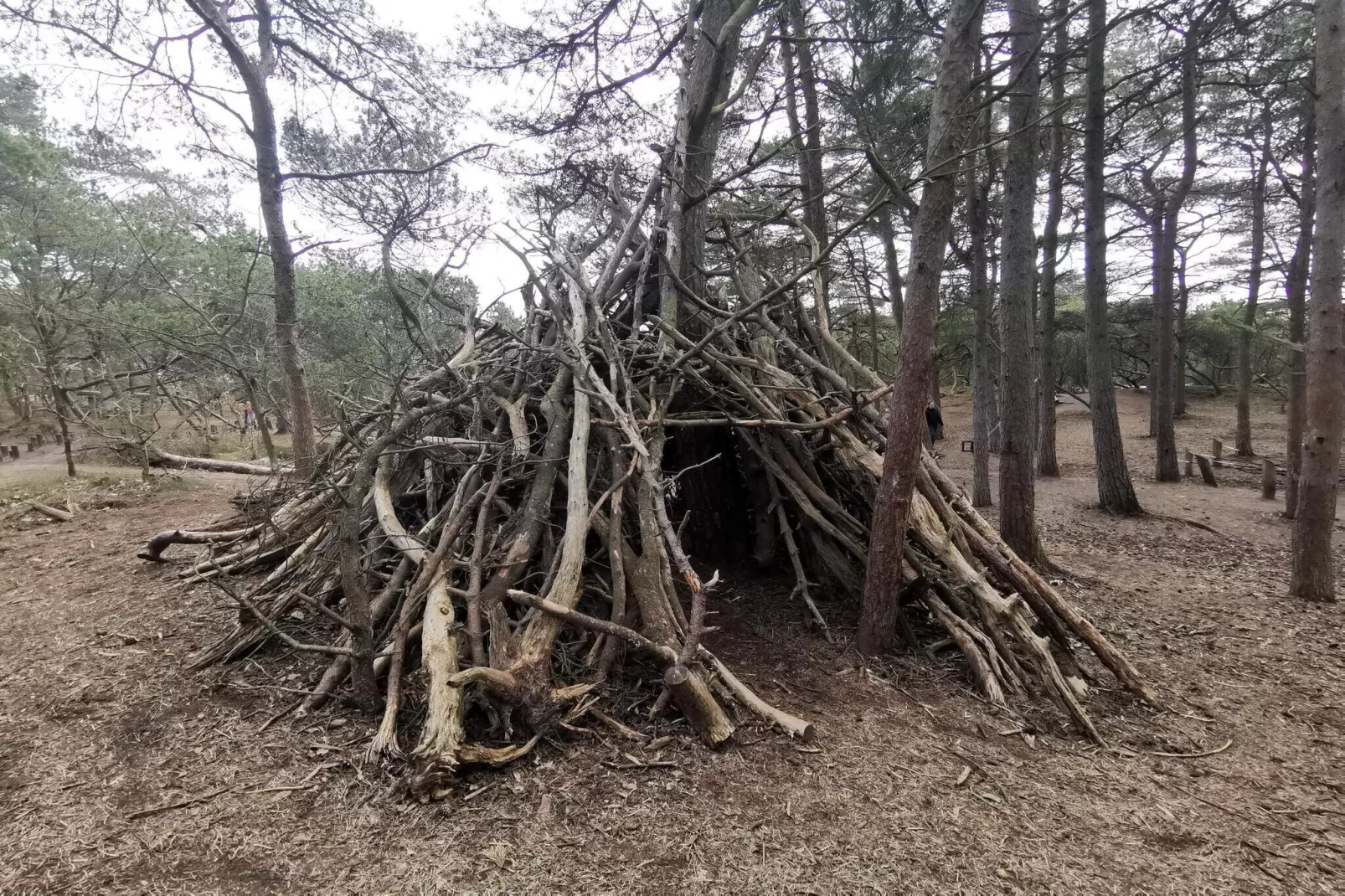 5 sterren vakantie huis in Rømø-Niet-getagd