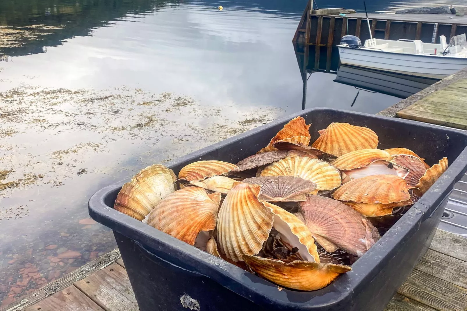 12 Personen vakantie huis in Davik-Niet-getagd