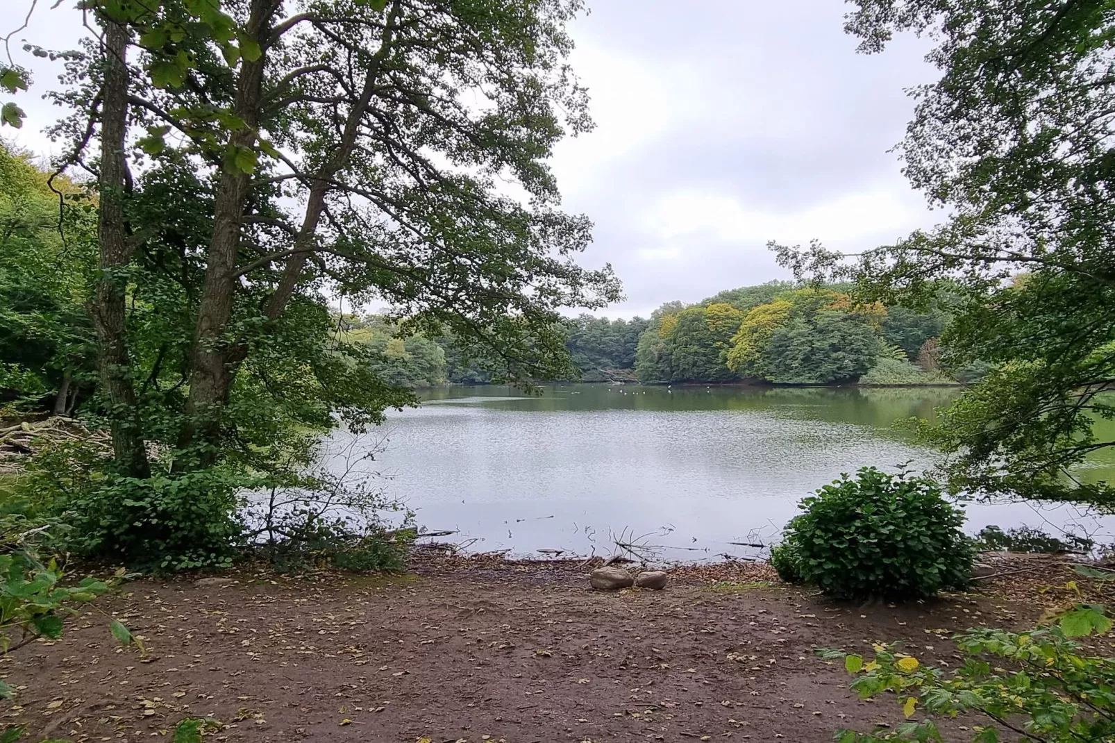 Zeezaligheid met uitzicht -- By Traum Ferienwohnungen-Buitenlucht