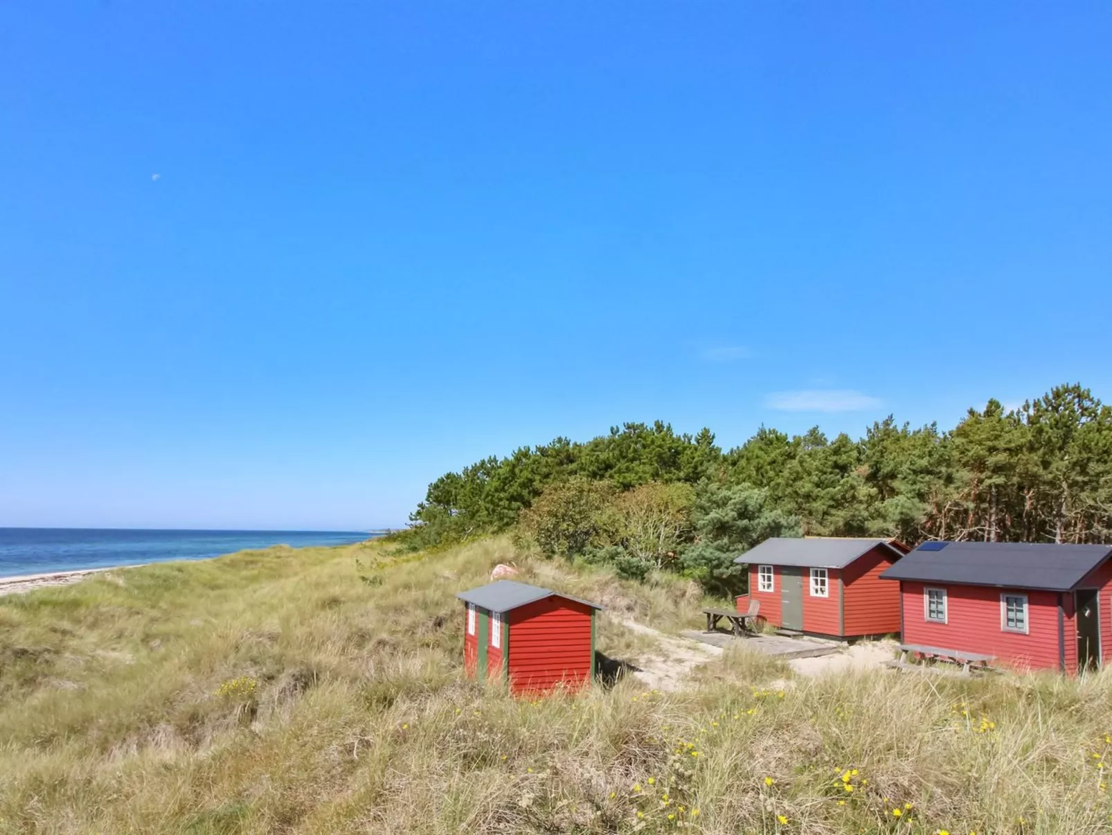 "Eirik" - 700m from the sea