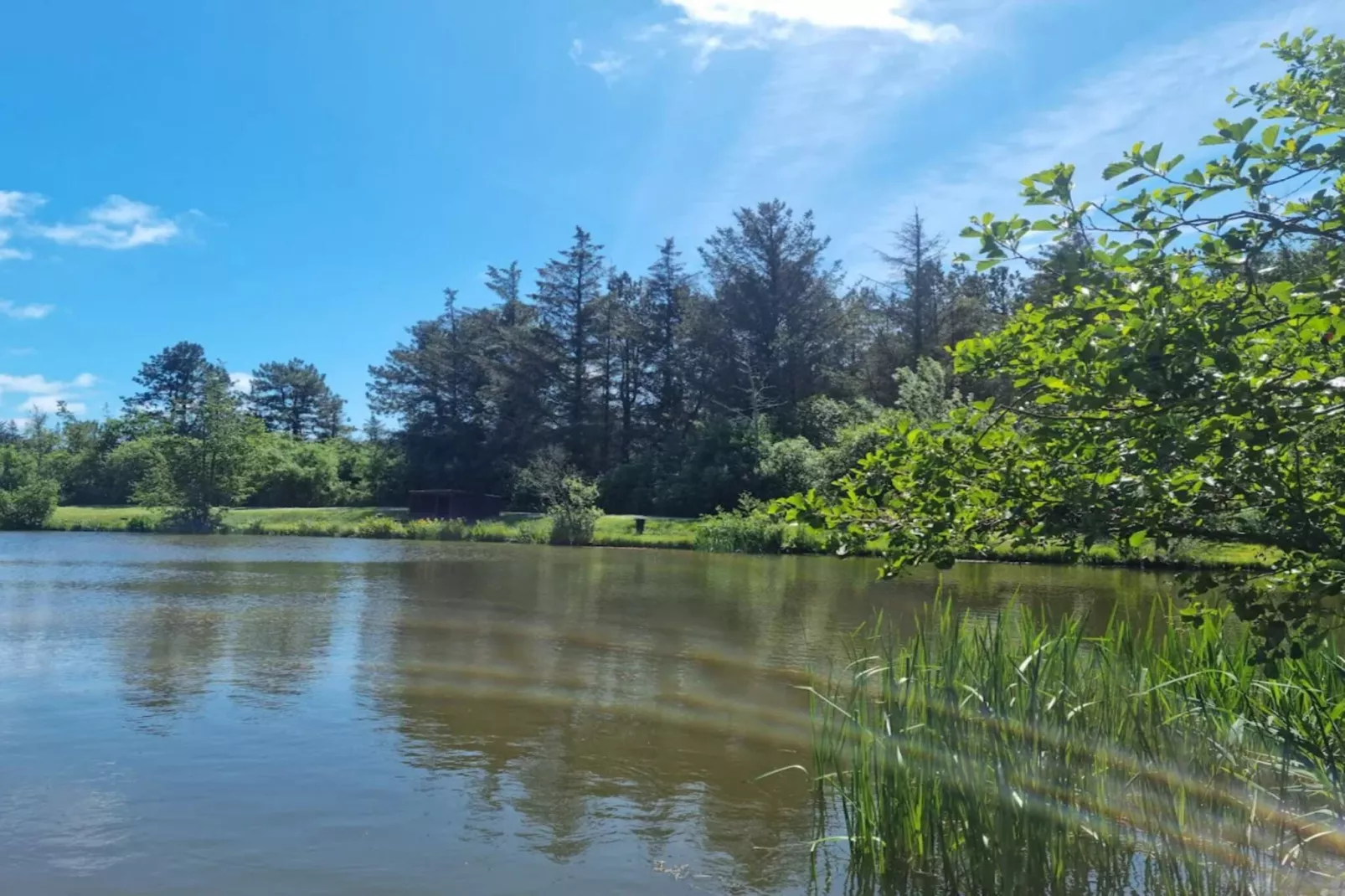 4 sterren vakantie huis in Løkken