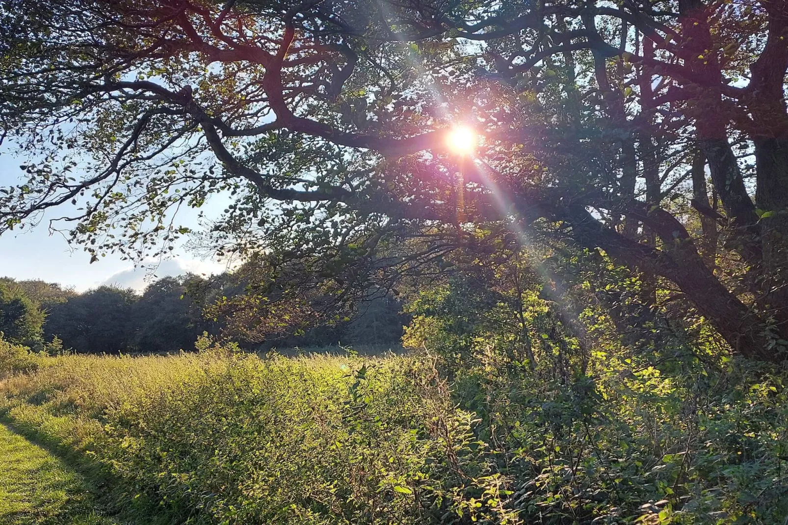 Vreedzame hut in Ebeltoft-Niet-getagd