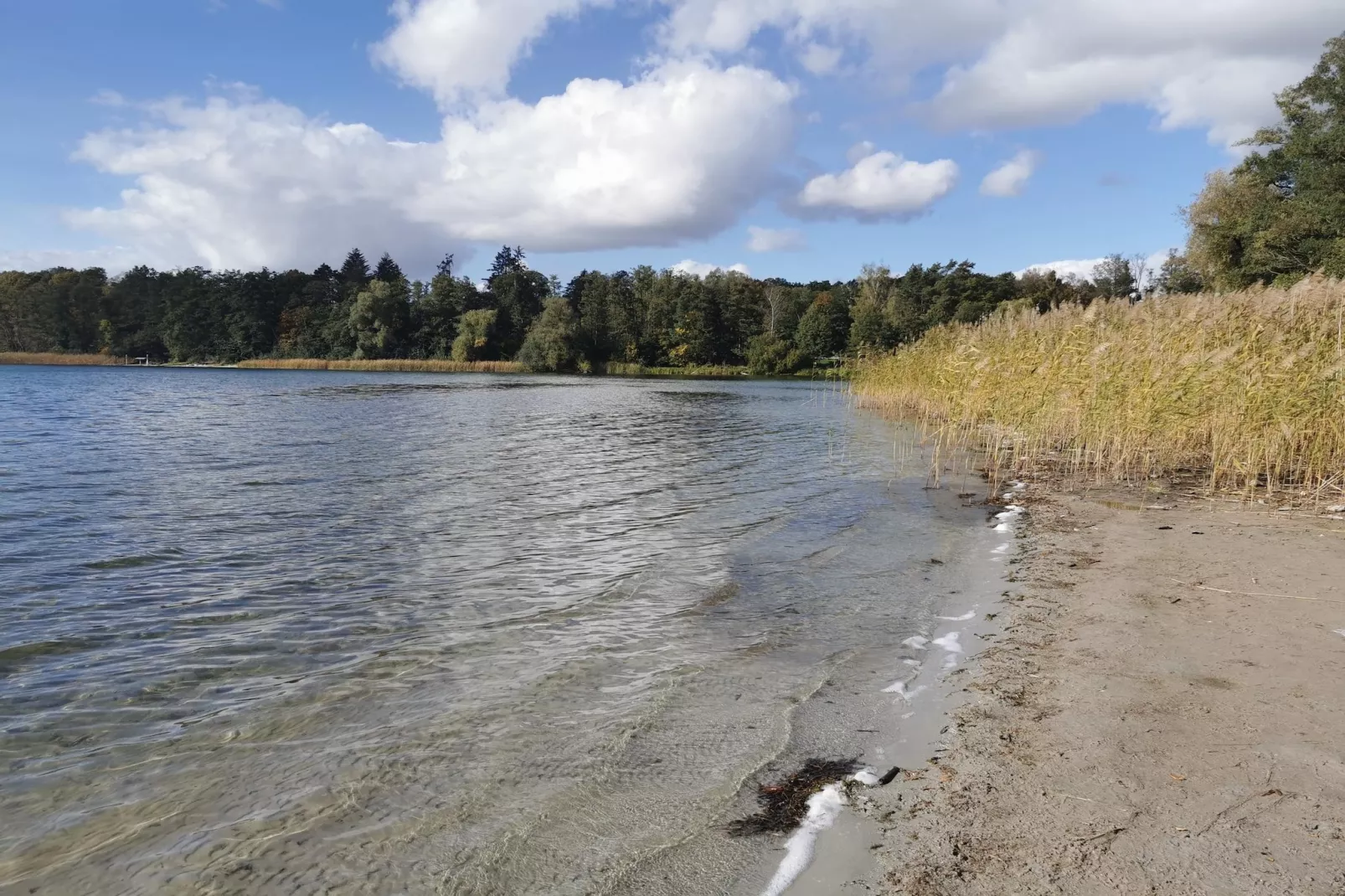 Luxus-Familienappartement / 5 Personen - Gebieden zomer 1km