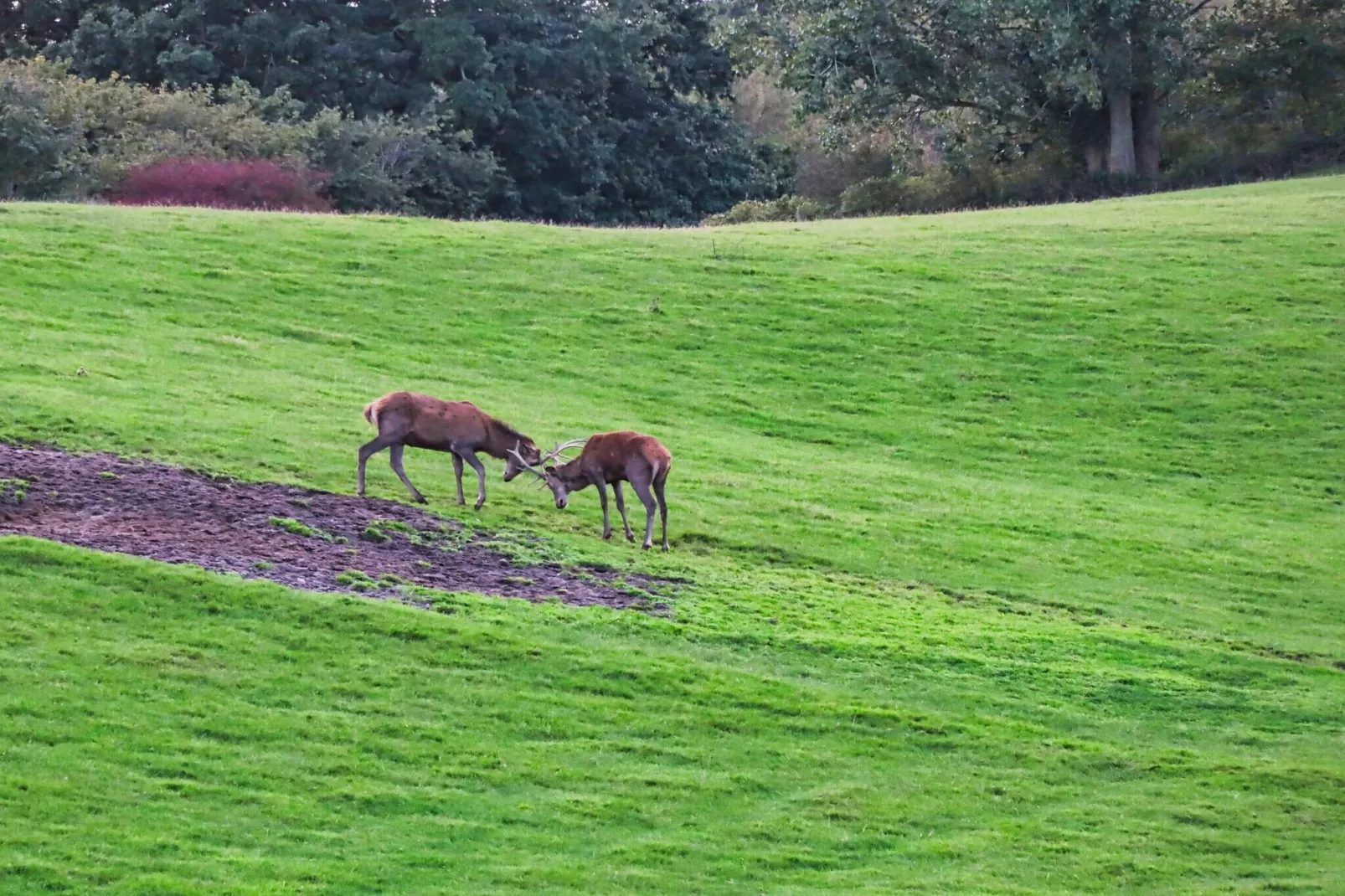 6 Personen vakantie huis in Haderslev