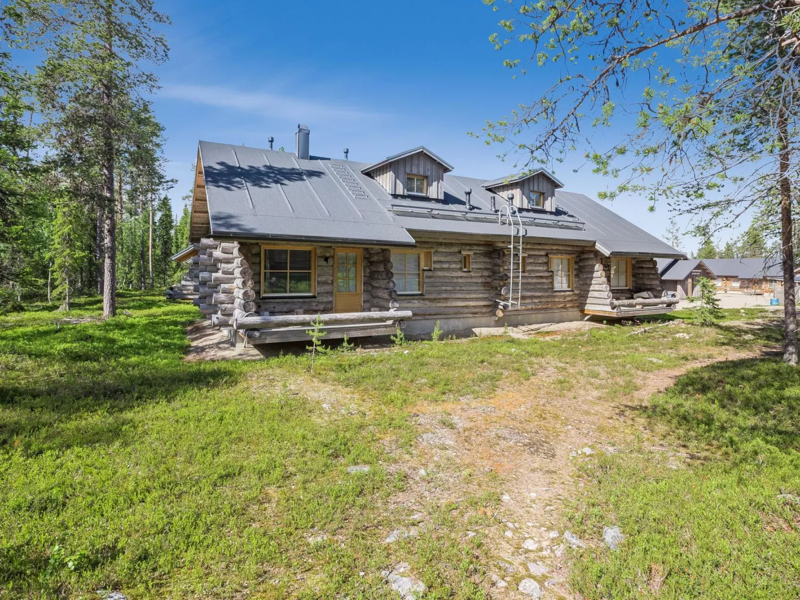 Teerentie / poronpesä (g20)