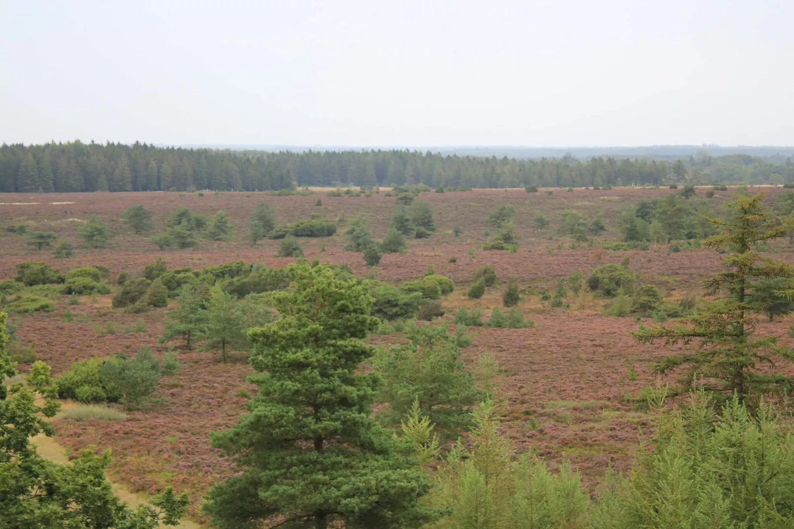 Vakantiehuis in Midden-Jutland-Niet-getagd