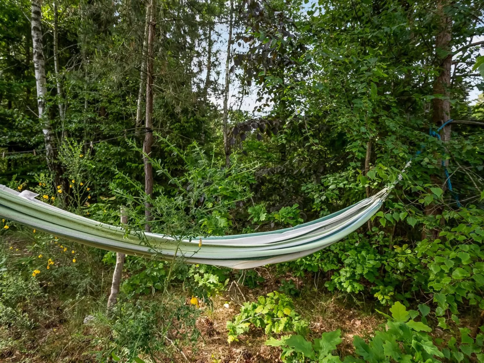 "Gunward" - 3km from the sea