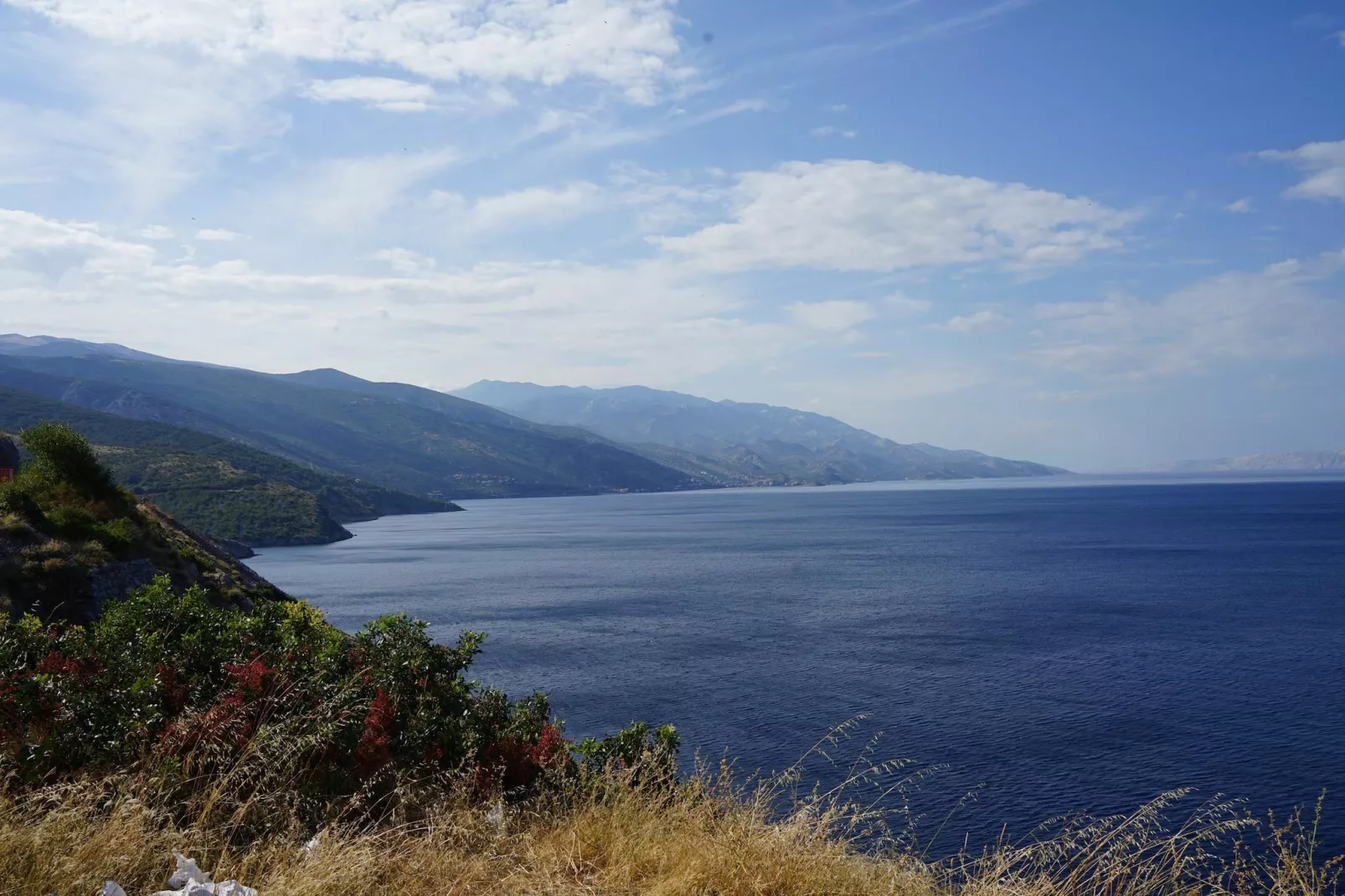 Niko 1-Gebieden zomer 1km