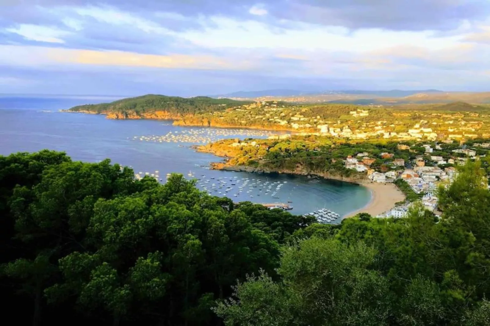 Ferran-Gebieden zomer 20km