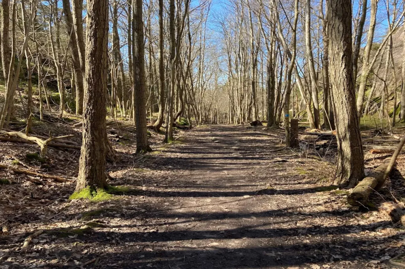 4 sterren vakantie huis in Mjörn-Niet-getagd