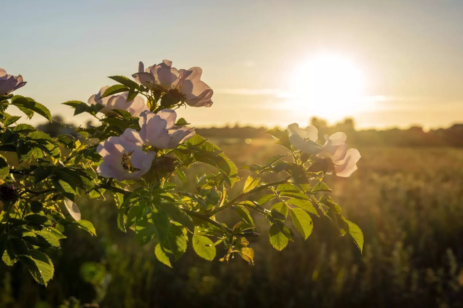 5 sterren vakantie huis in Køge-Niet-getagd