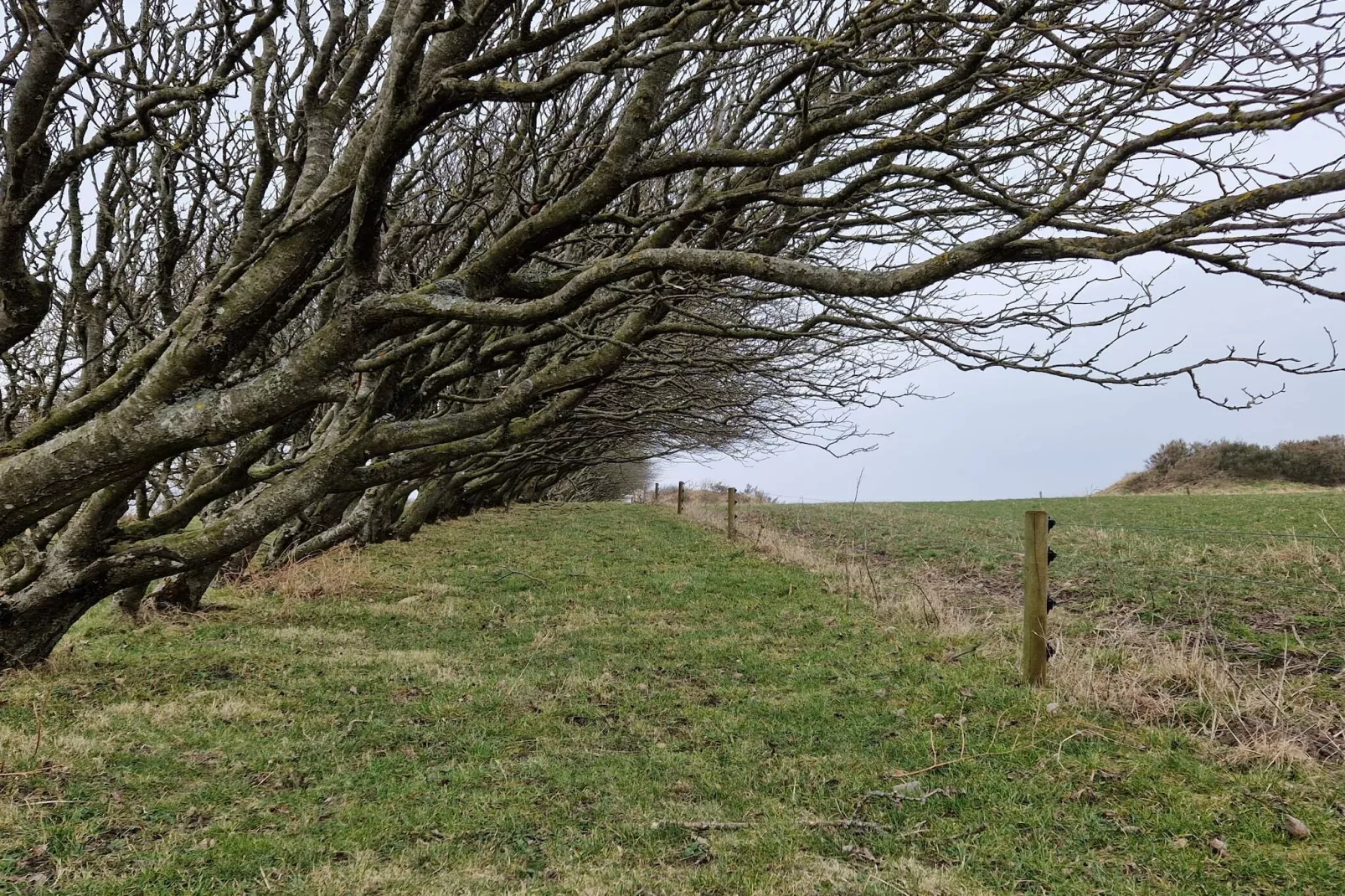 4 sterren vakantie huis in Spøttrup-Niet-getagd