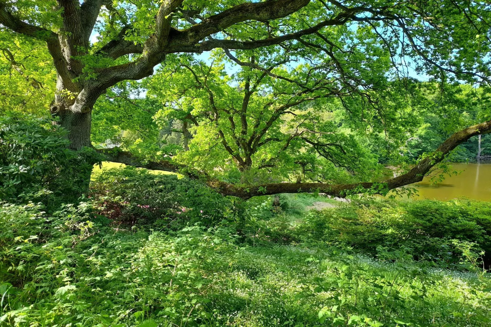 4 sterren vakantie huis in Vedbæk