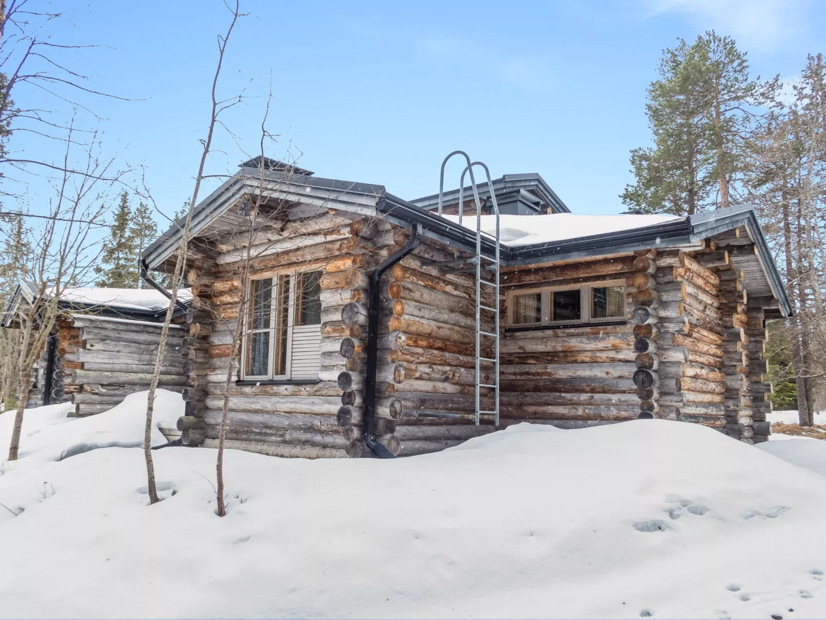 Salmikankaan kelo d2