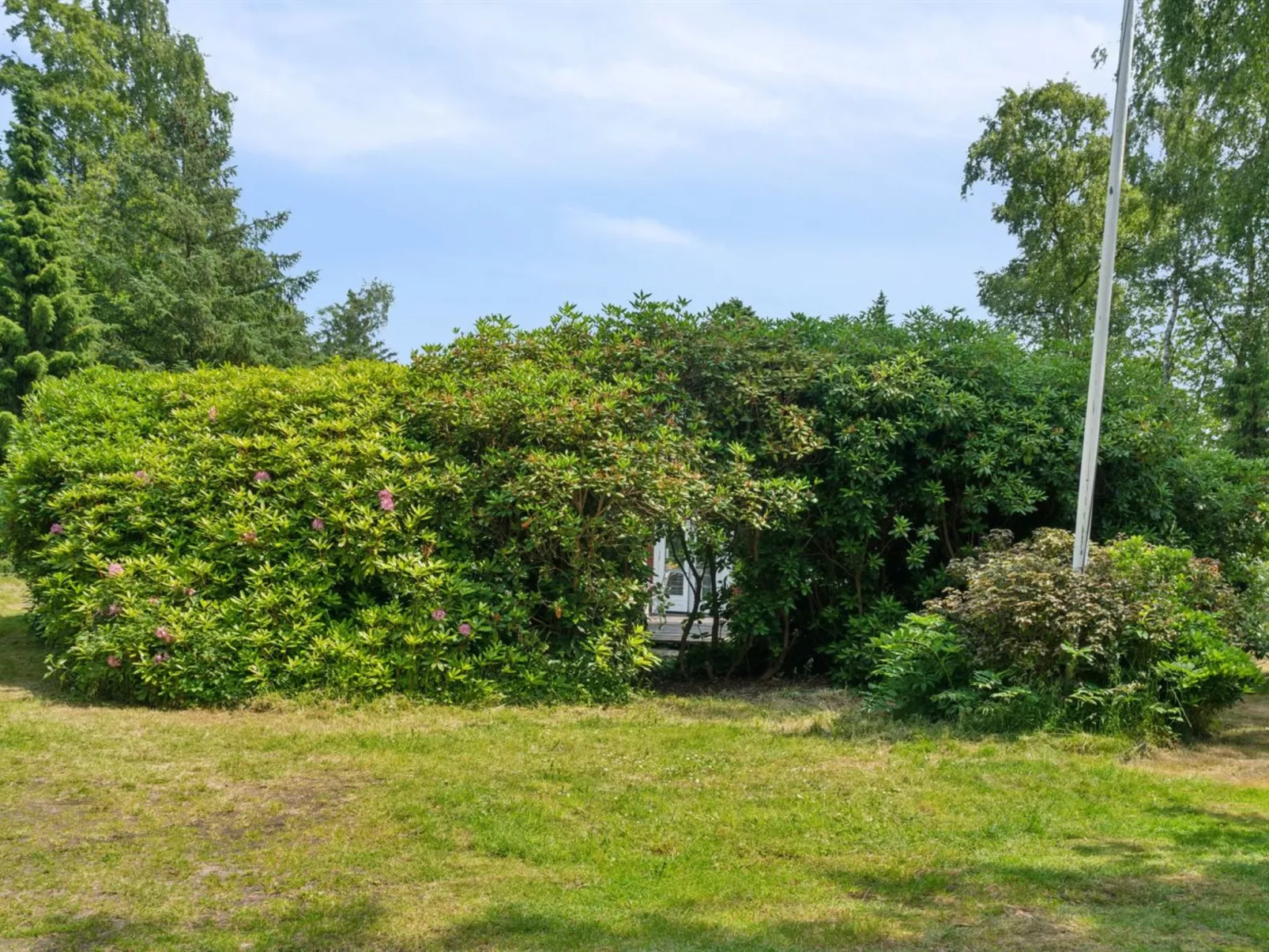 "Rieke" -  from the sea