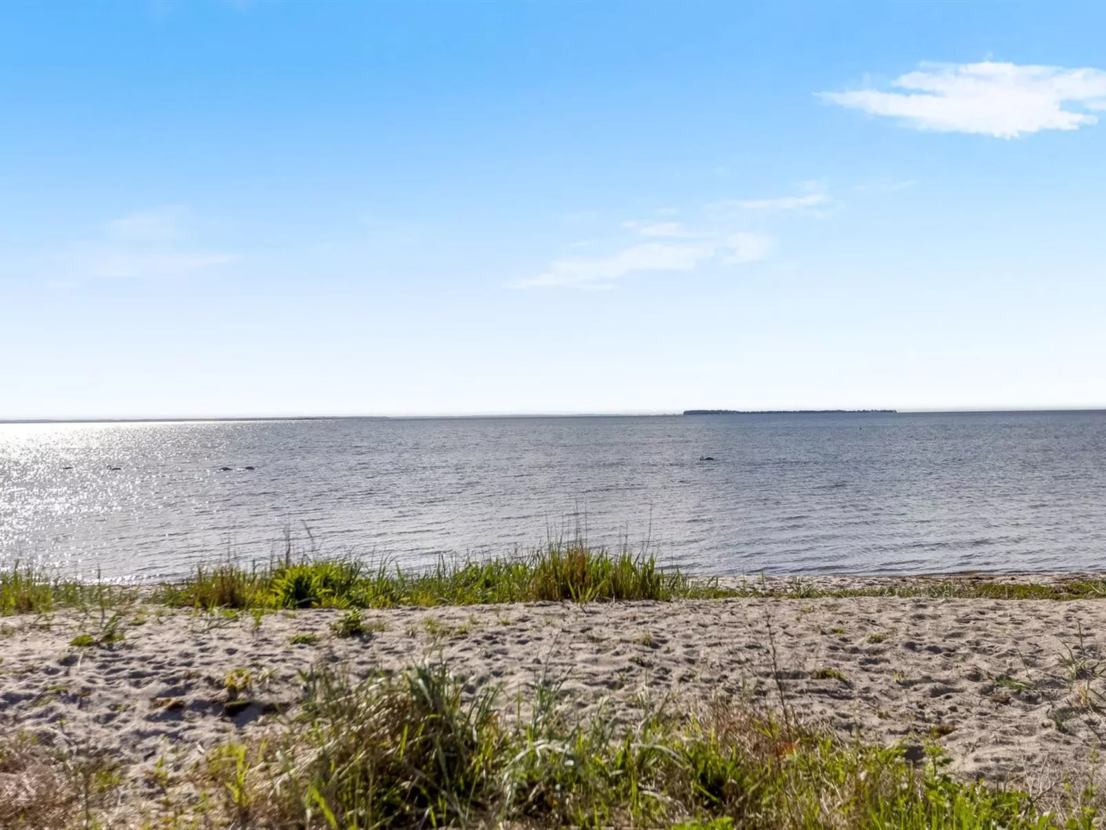 "Ørn" - 5m from the sea