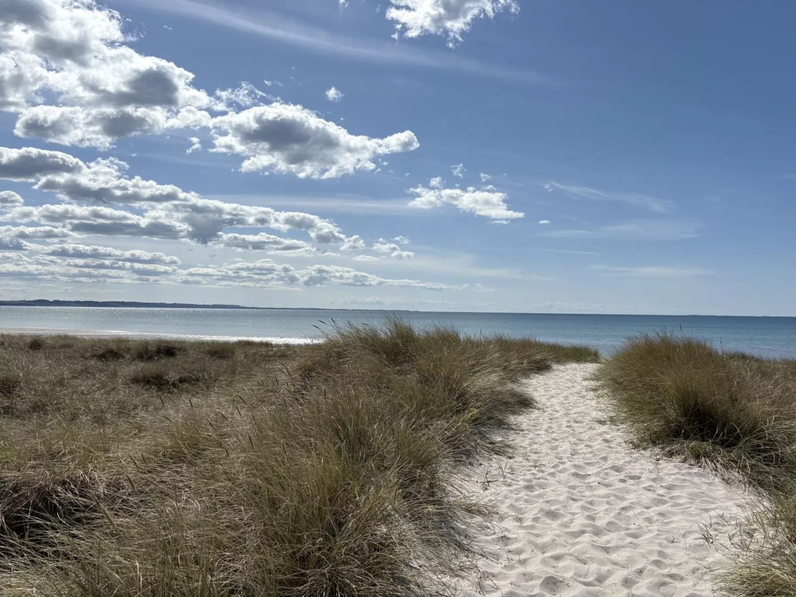 "Fridborg" - 425m from the sea