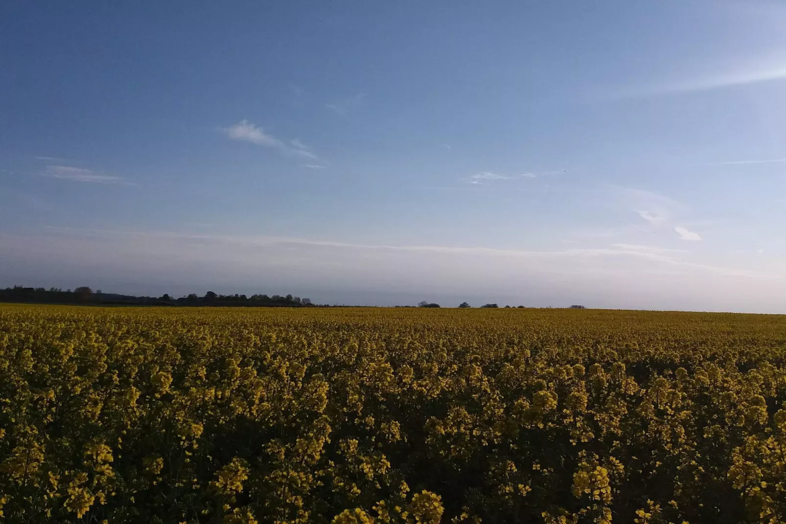 4 sterren vakantie huis in Jægerspris-Niet-getagd