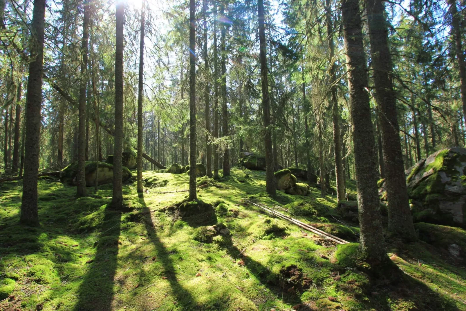 4 sterren vakantie huis in KIL-Niet-getagd