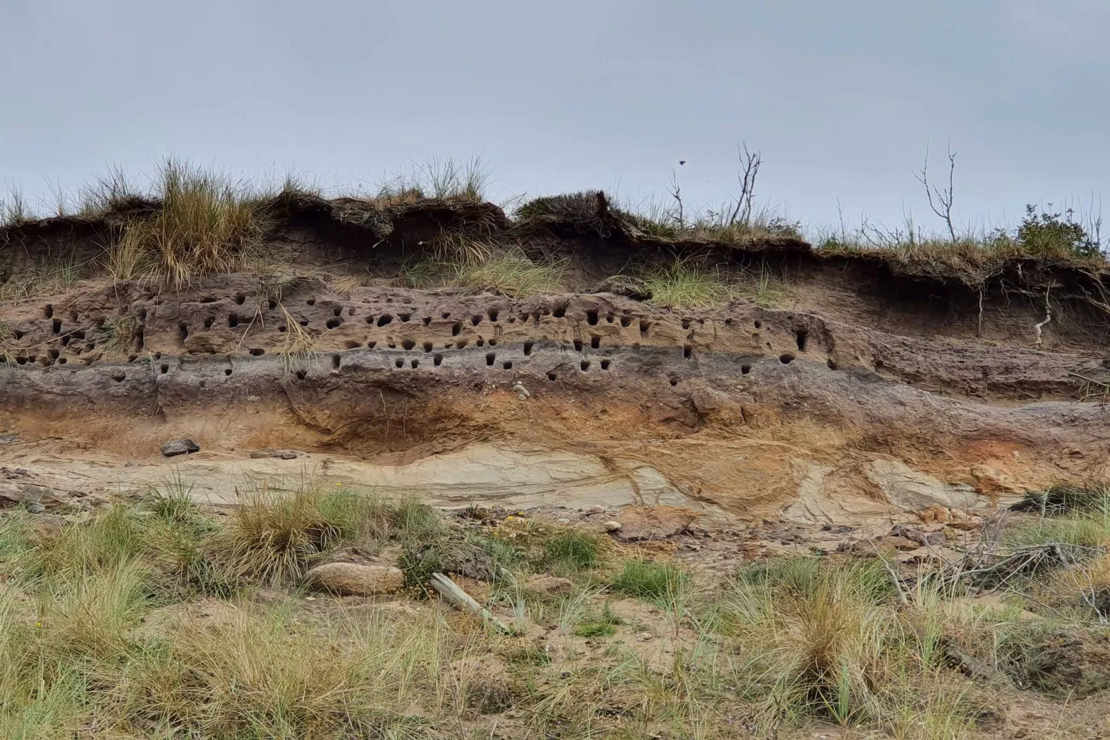 10 Personen vakantie huis in Spøttrup-Niet-getagd