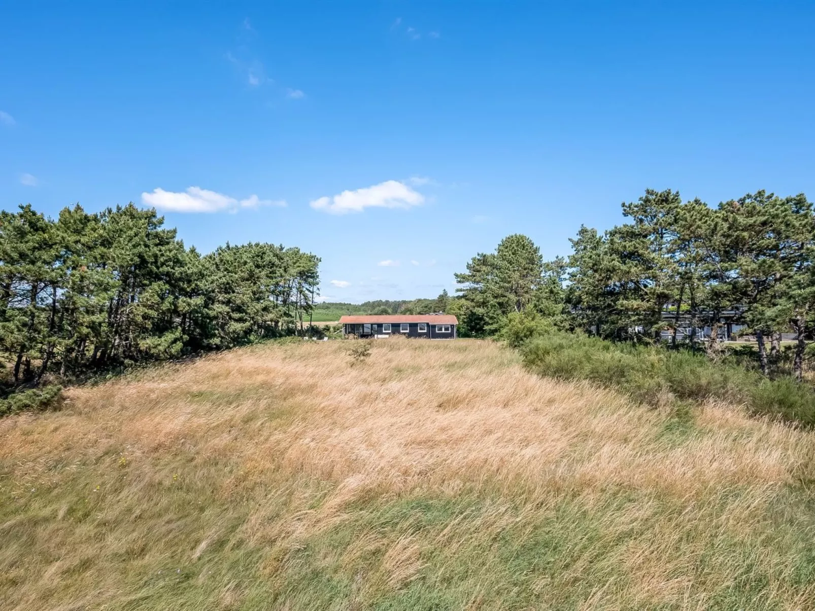 "Tatianna" - 100m from the sea