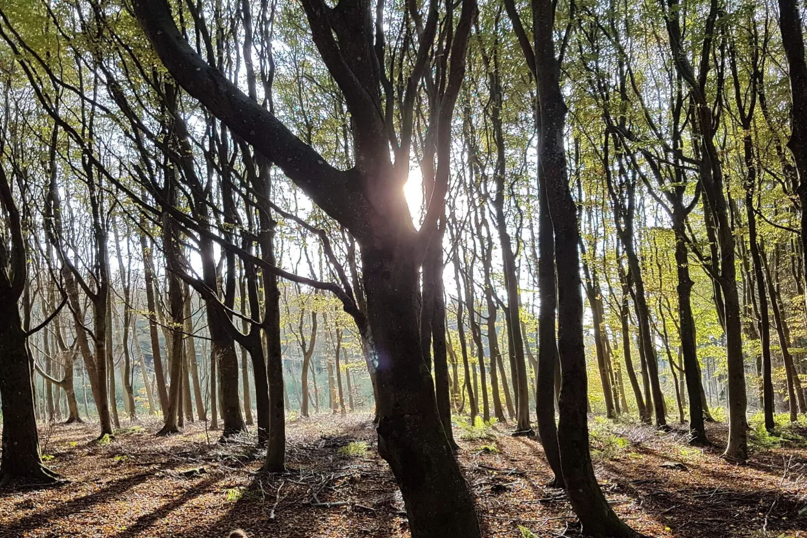 4 sterren vakantie huis in Brønderslev-Niet-getagd