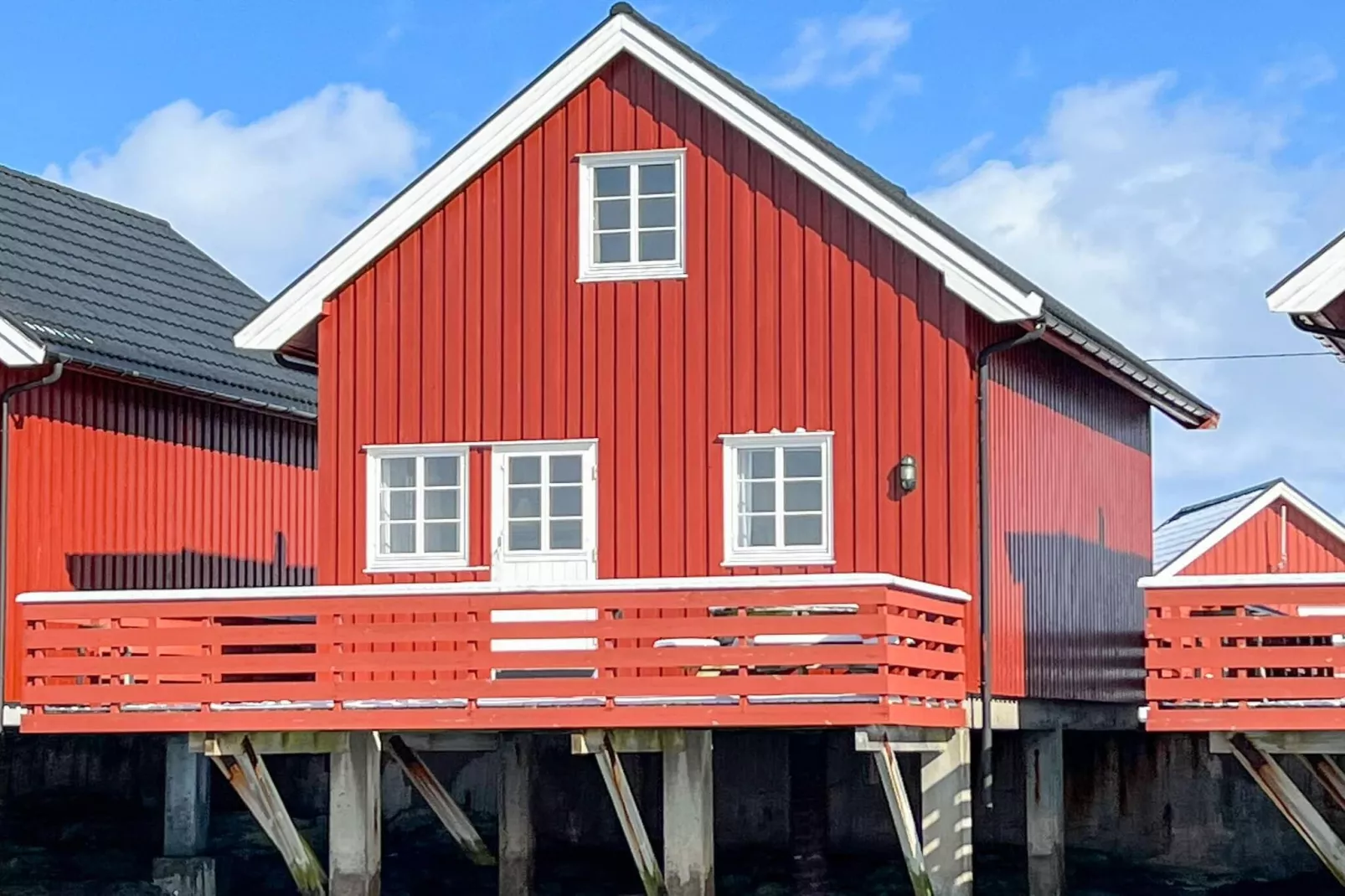 Zeezicht met boten en vissen