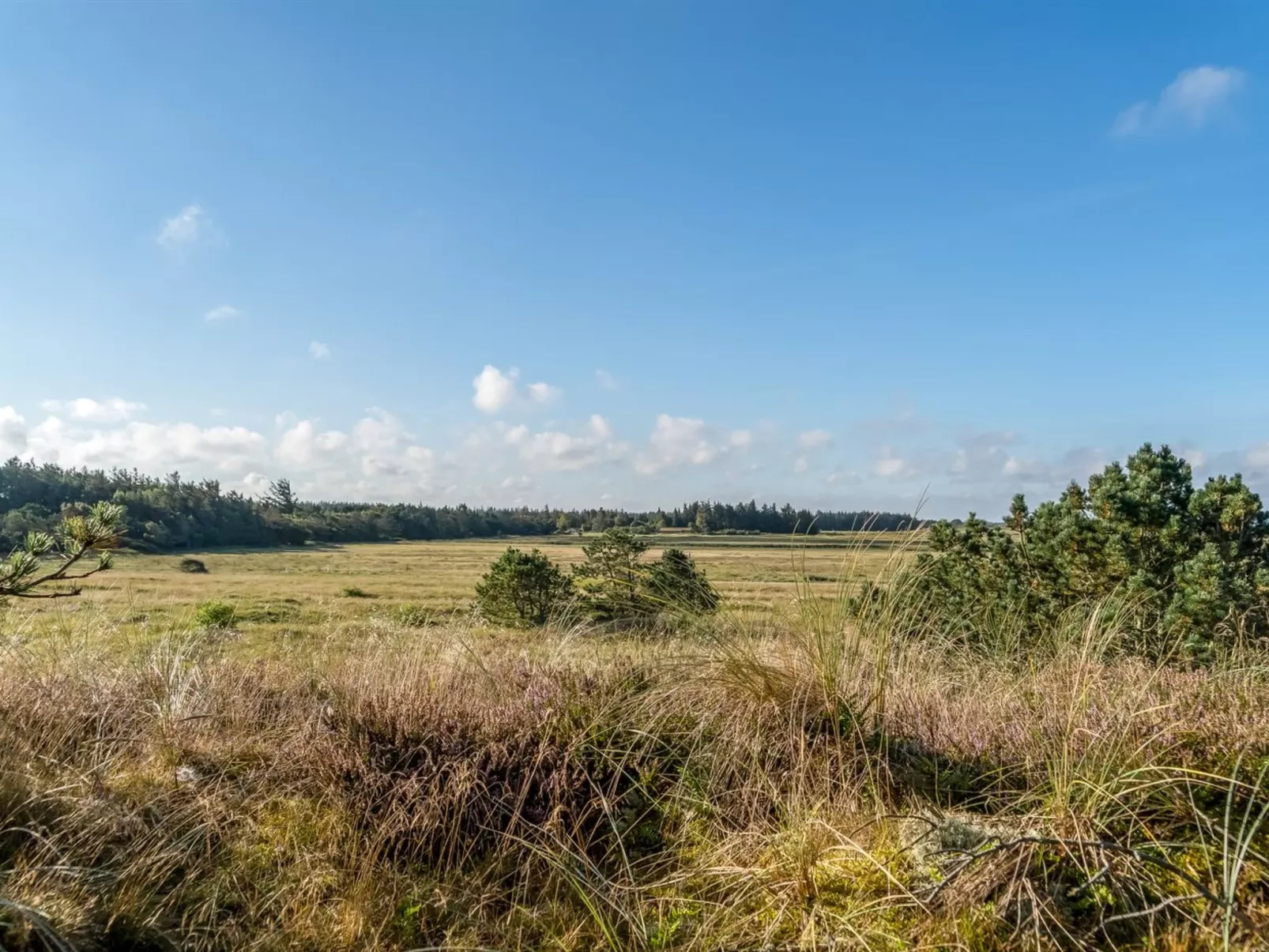 "Anneka" - 750m from the sea