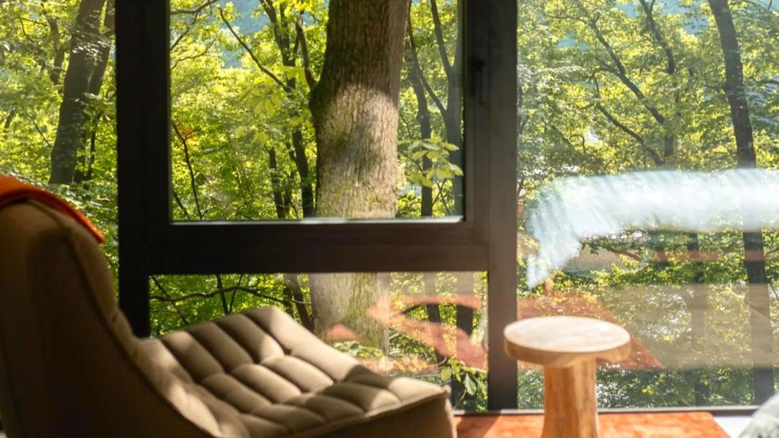 Cabane dans les arbres