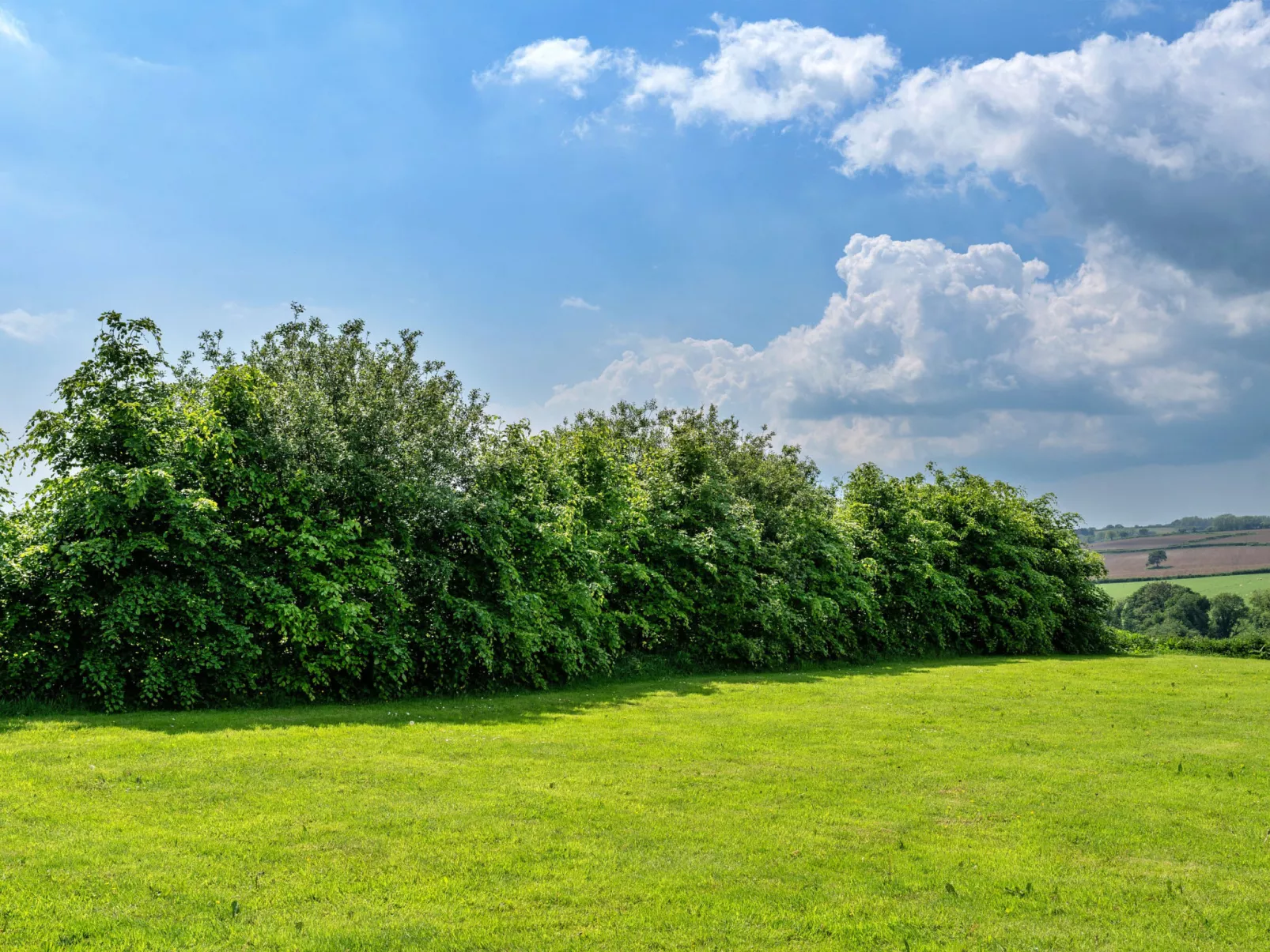 The Shippon at Lestitha