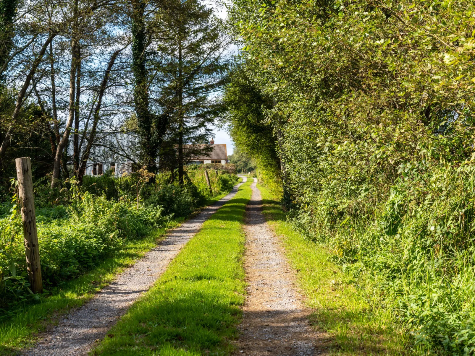 The Annexe at Rosebud Cottage