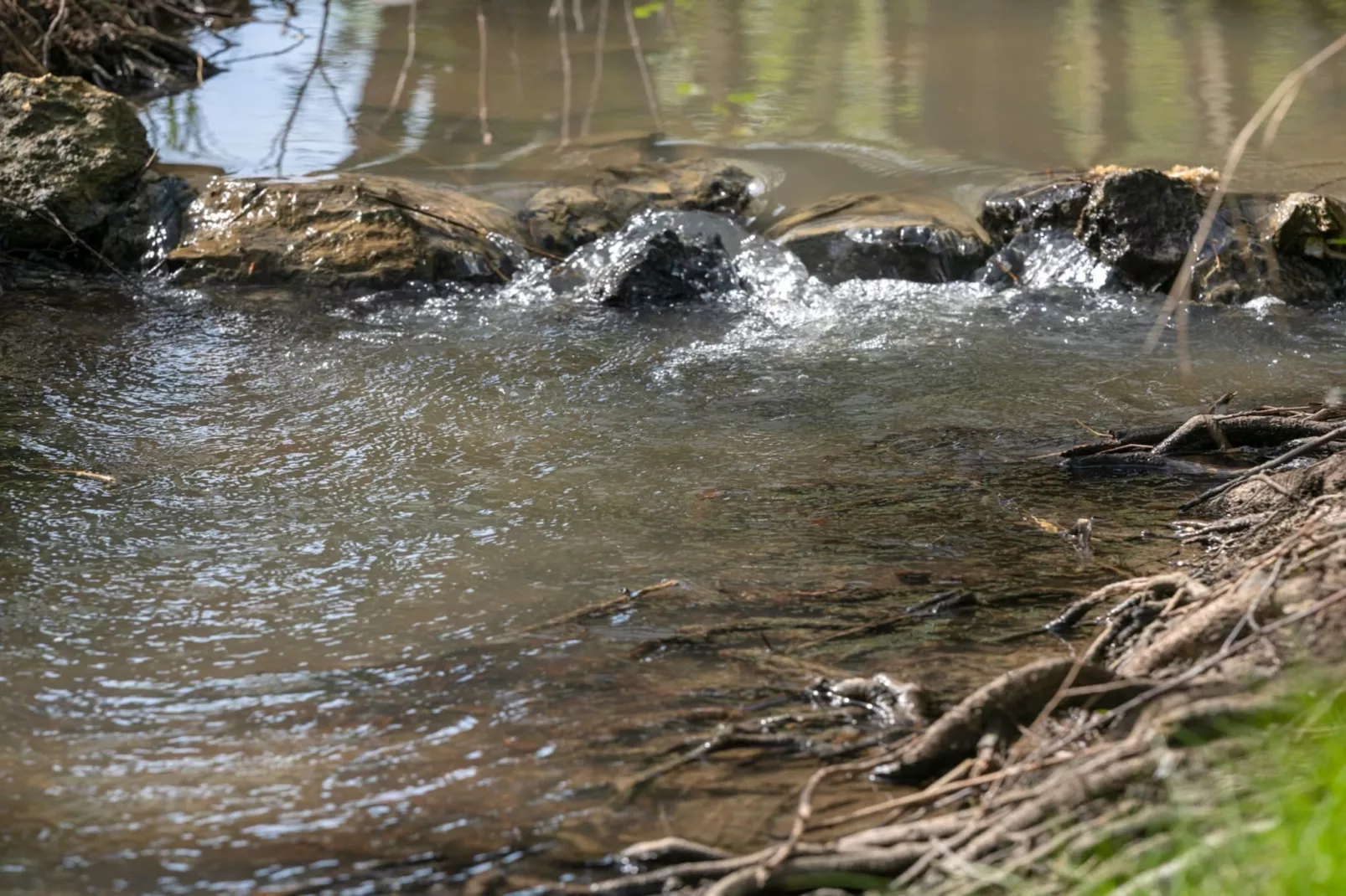 Robinzonski Kamp Hofman - Tent
