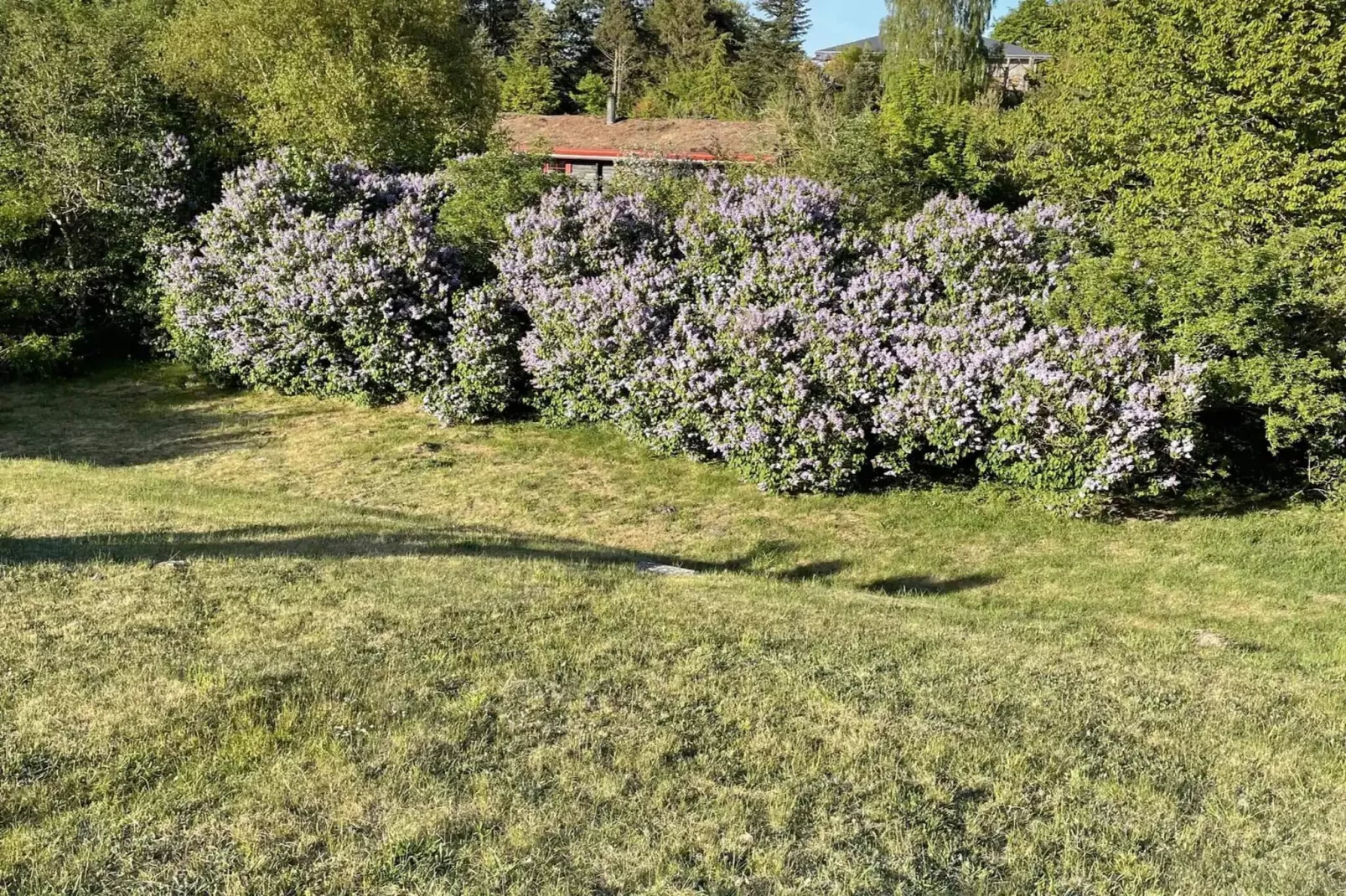5 sterren vakantie huis in Ebeltoft