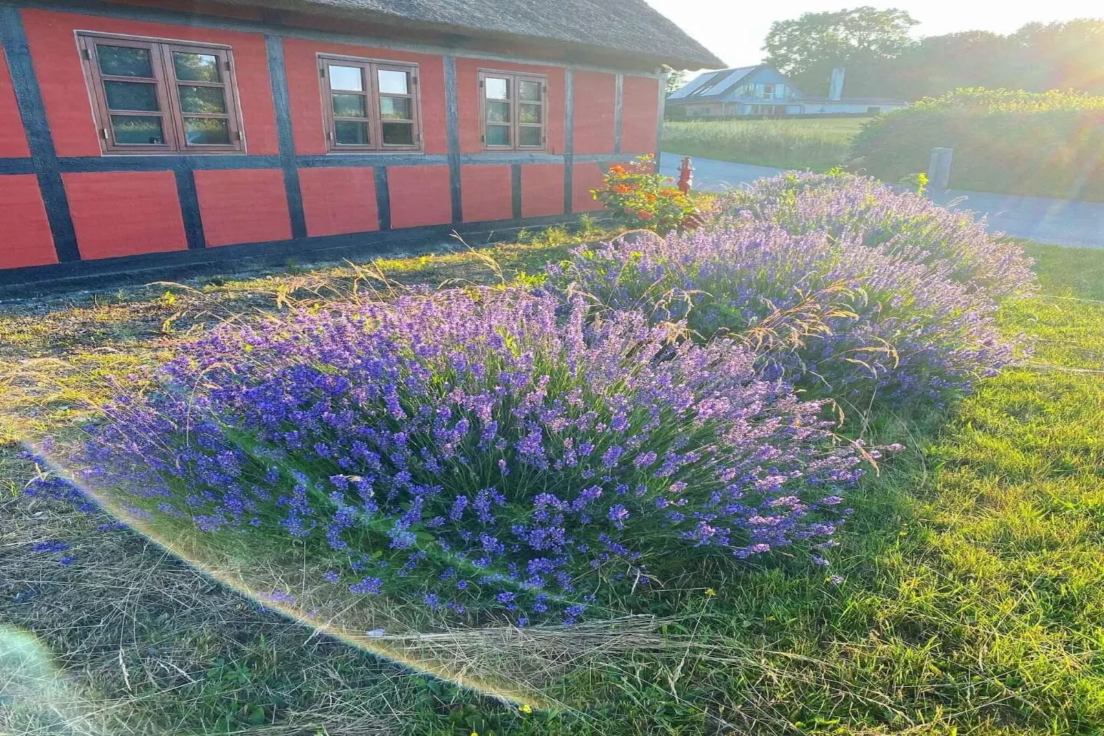 5 sterren vakantie huis in Frørup