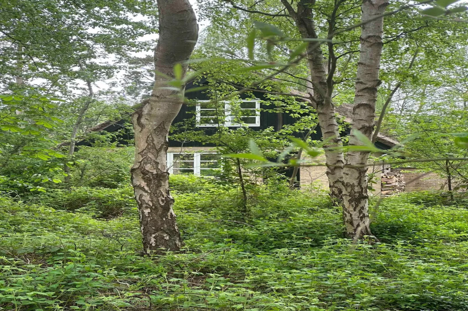 5 sterren vakantie huis in Knebel