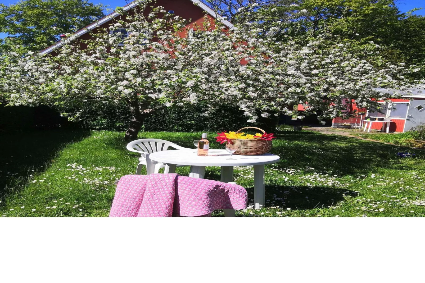 5 sterren vakantie huis in Svaneke