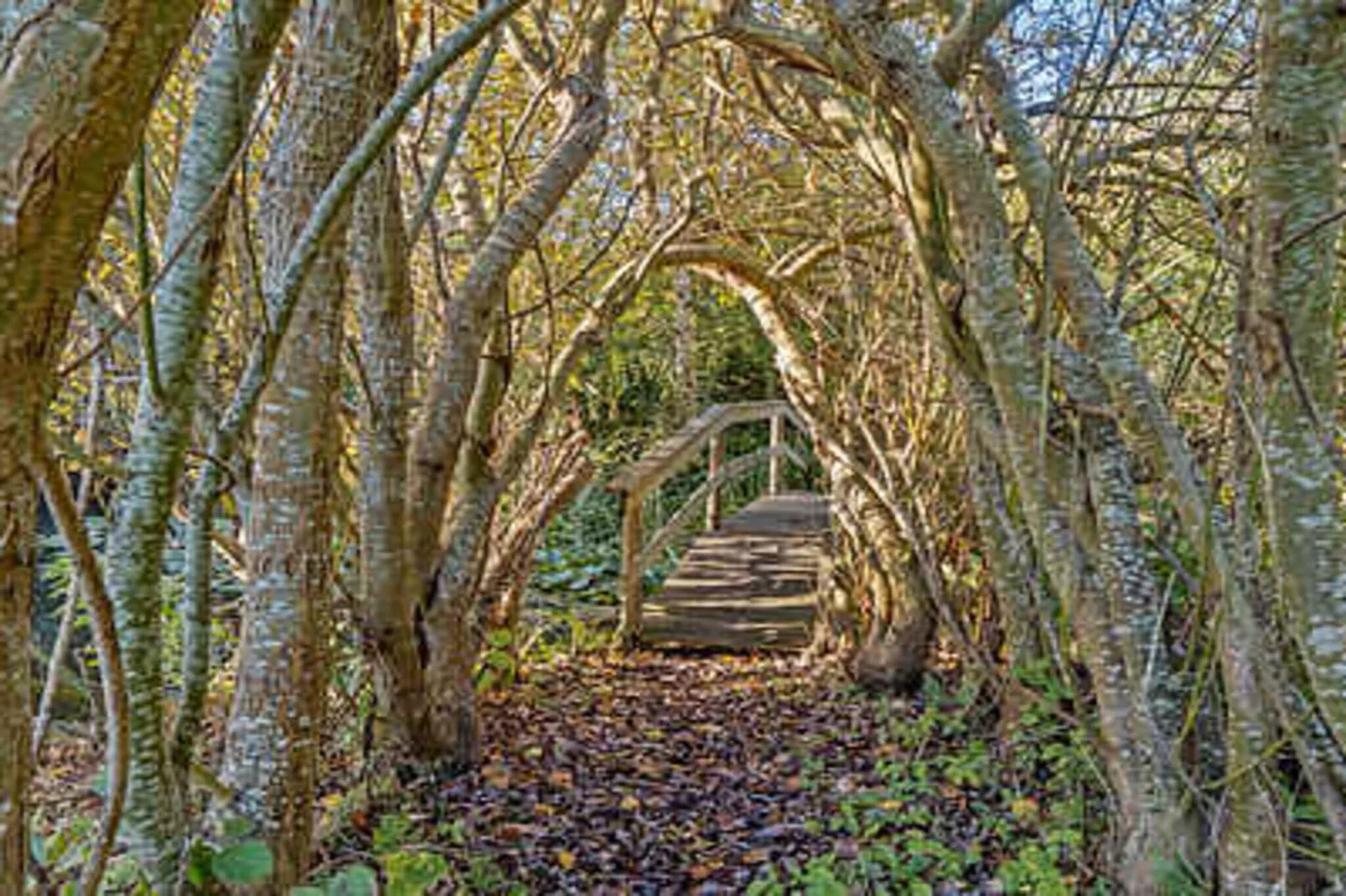 4 sterren vakantie huis in Karrebæksminde