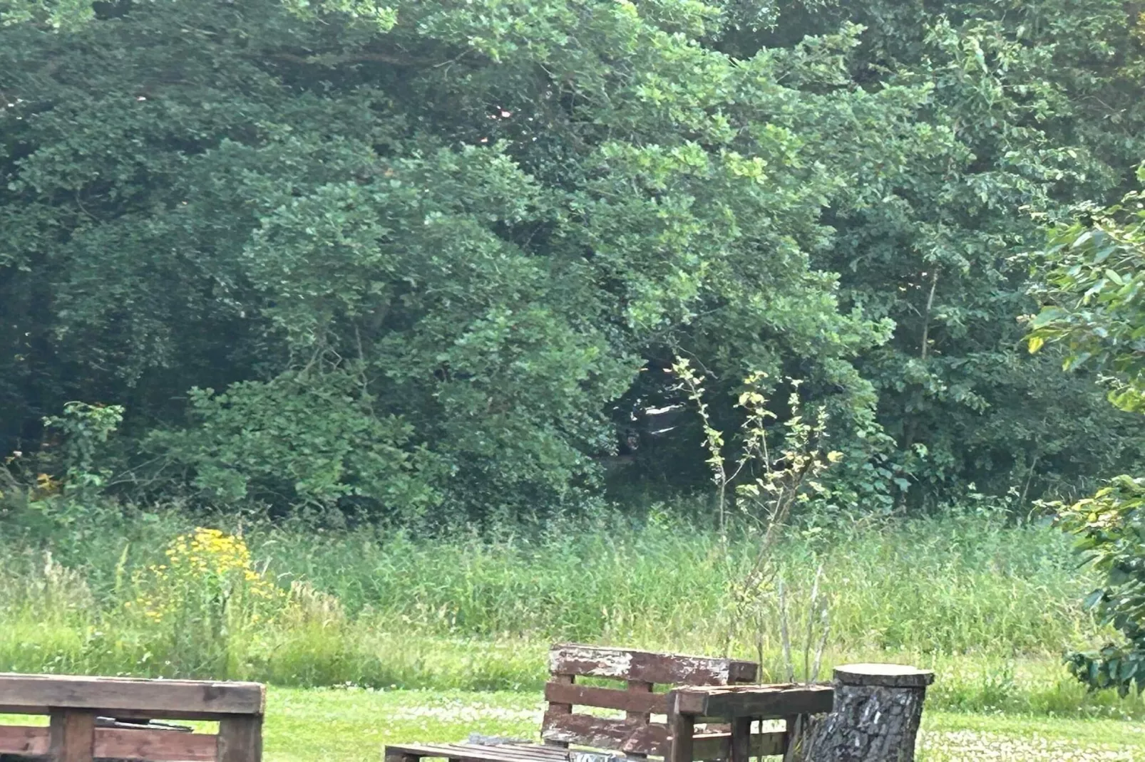 4 sterren vakantie huis in Rønne