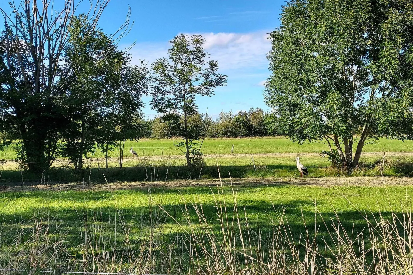 4 sterren vakantie huis in Tønder