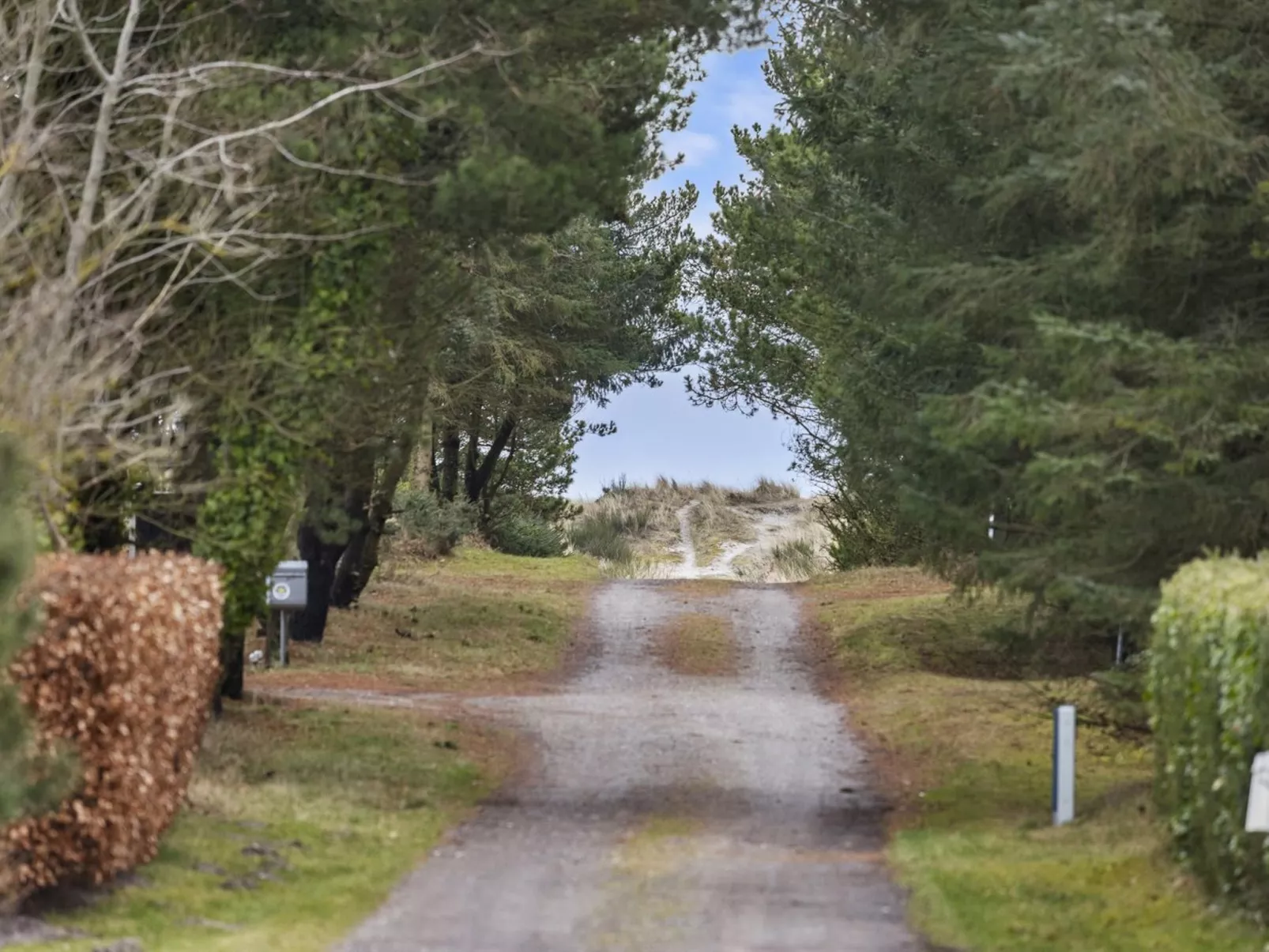 "Elaina" - 290m from the sea