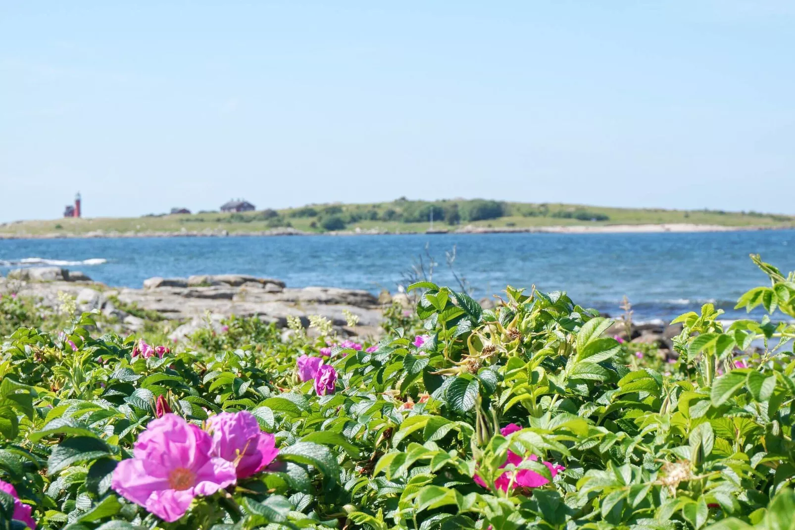 4 persoons vakantie huis in Halmstad-By Traum-Niet-getagd