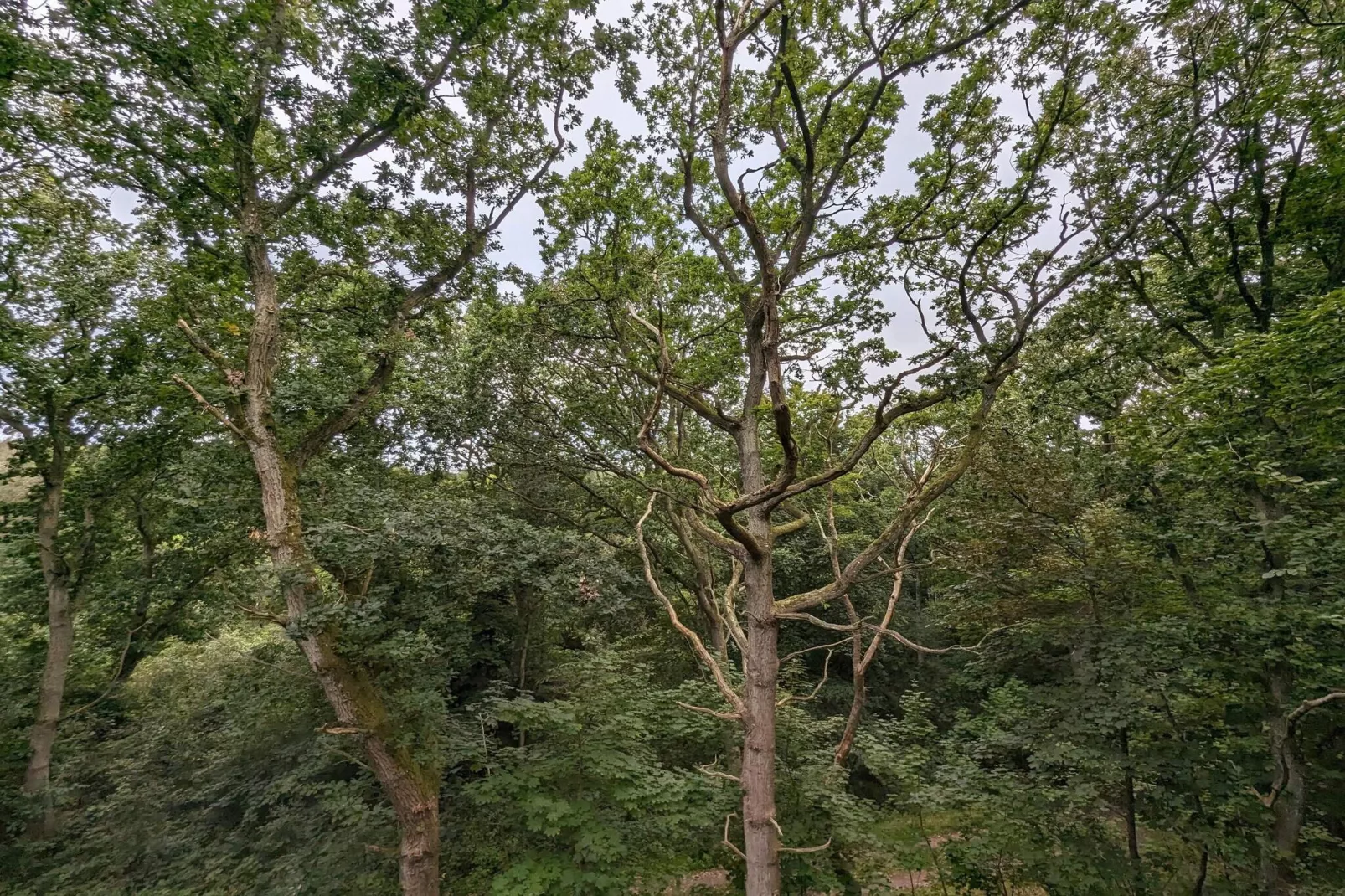 6 persoons vakantie huis in Hadsund